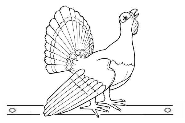 Дрофа красная книга Волгоградской области