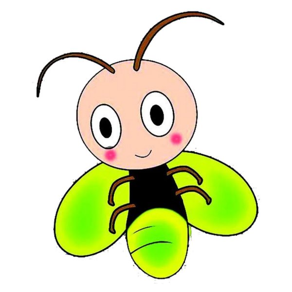 Насекомое Светлячок раскраска