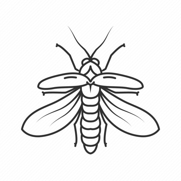 Светлячок раскраска