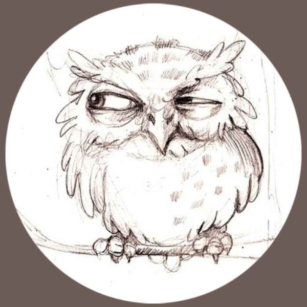 Сова карандашом
