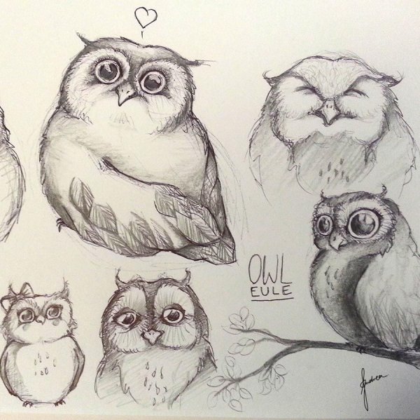 Мультяшная Сова скетчи