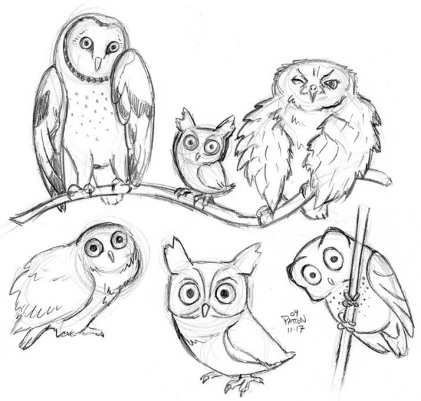 Сова скетч