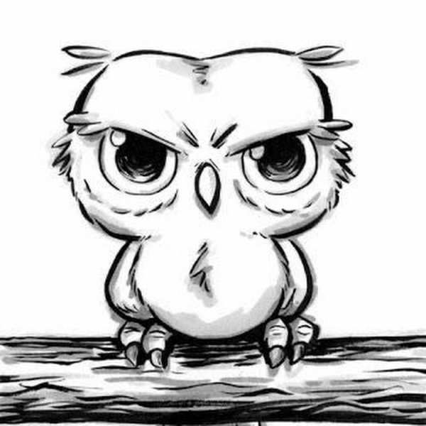 Совенок рисунок карандашом