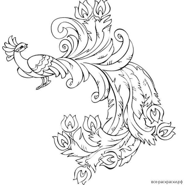 Сказочная птица раскраска