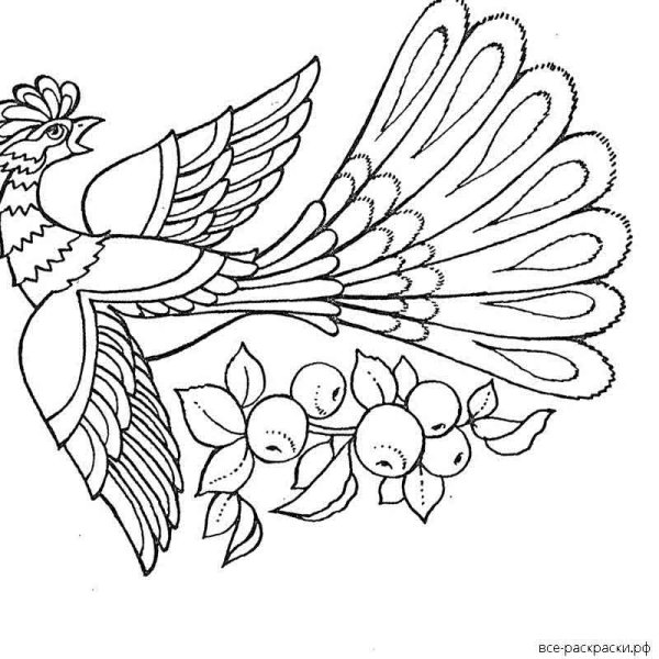 Сказочная птица раскраска