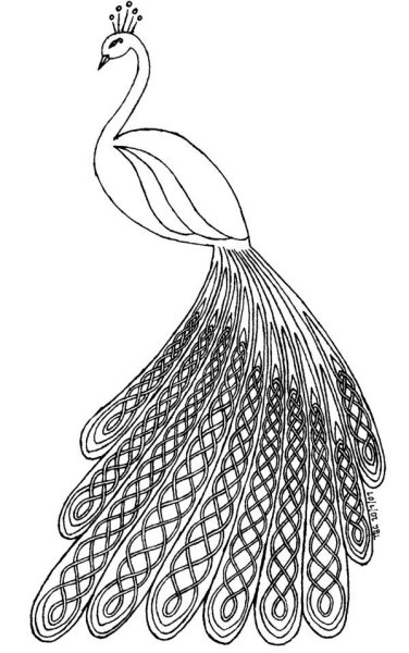 Жар птица Павлин Феникс