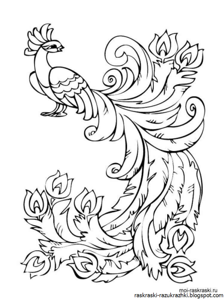 Жар птица раскраска