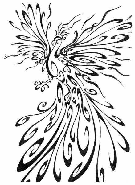 Рисунки Жар птицы для срисовки