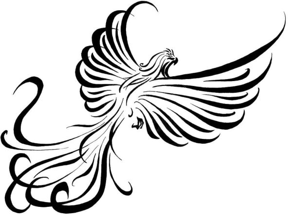 Жар птица рисунок