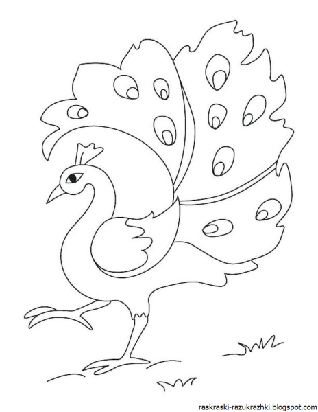 Жар птица раскраска для детей
