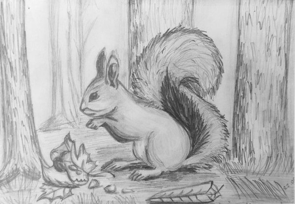 Осенний лес рисунок