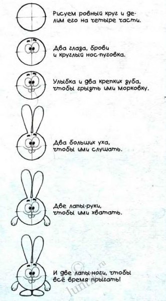 Разукрашки Смешарики Крош