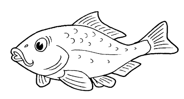 Окунь живопись