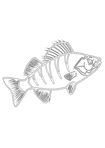 Рыба Ерш для детей