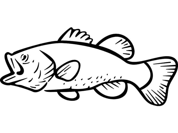 Окунь раскраска для детей