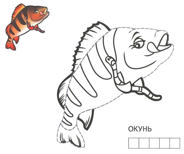 Раскраска рыба окунь
