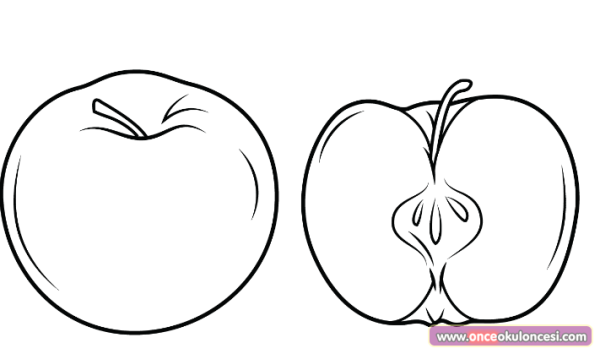 Яблоко в разрезе карандашом