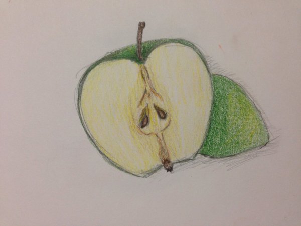 Рисование яблоко в разрезе