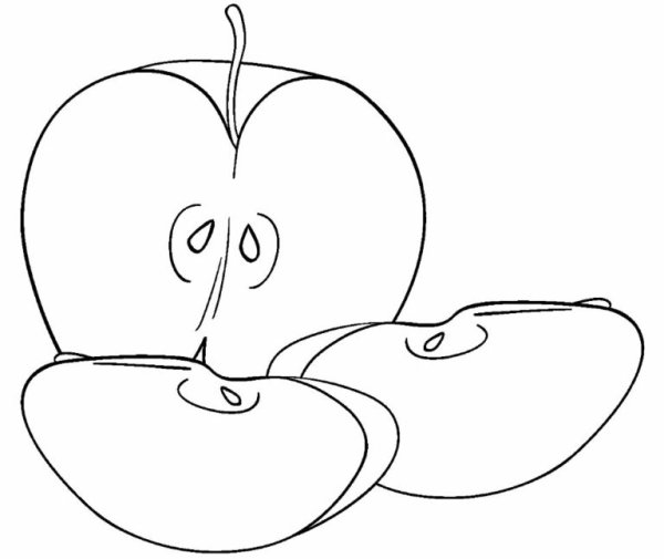 Яблоко в разрезе трафарет