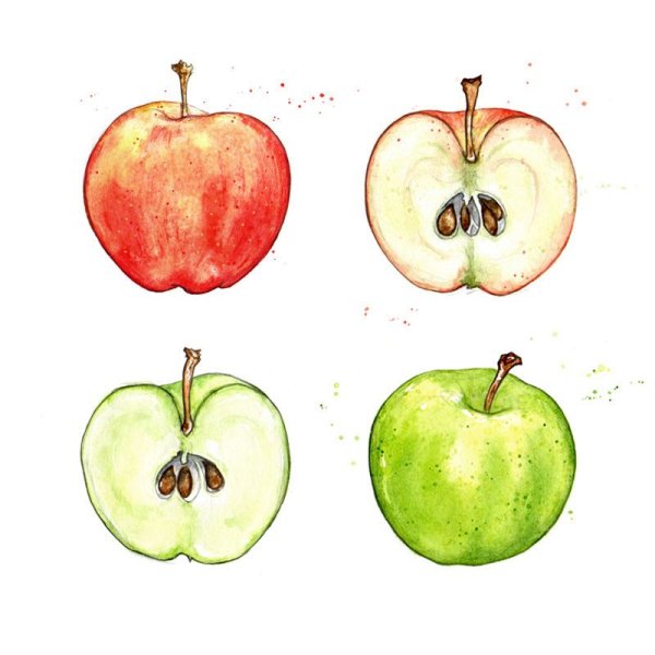 Яблоко половина акварель