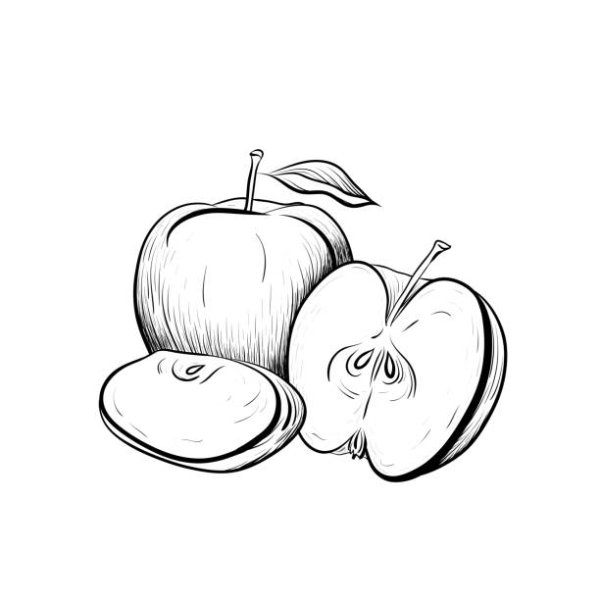 Яблоко в разрезе контур