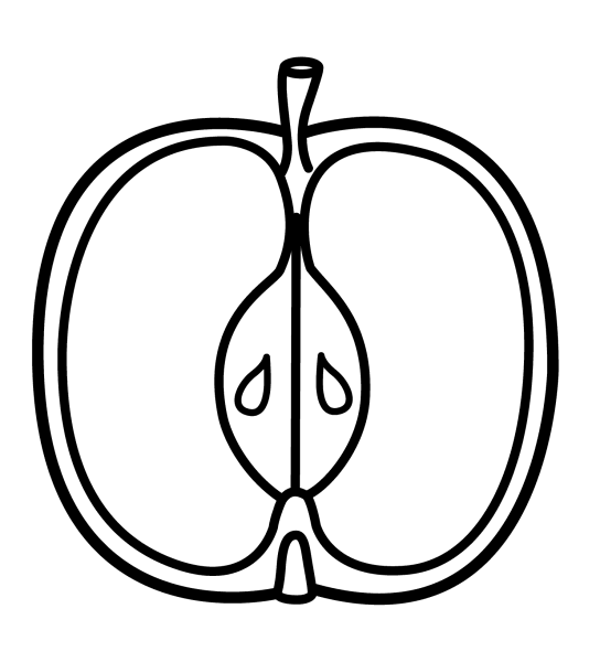 Половина яблока раскраска