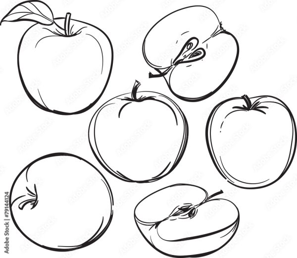 Половинка яблока контур