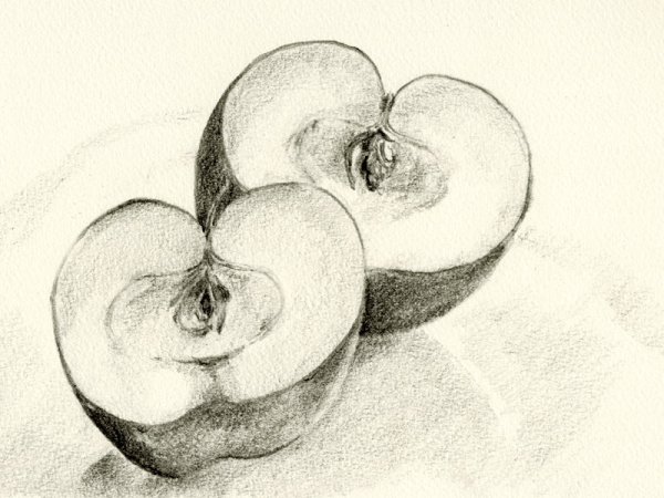 Яблоко в разрезе карандашом