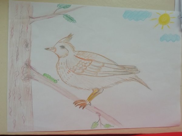 Рисование жаворонка