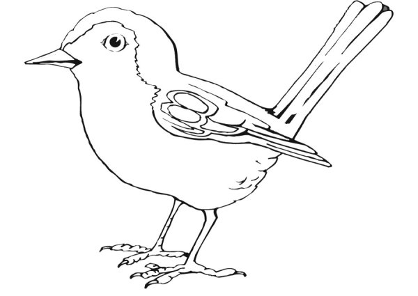 Иллюстрация к жаворонку Глинки