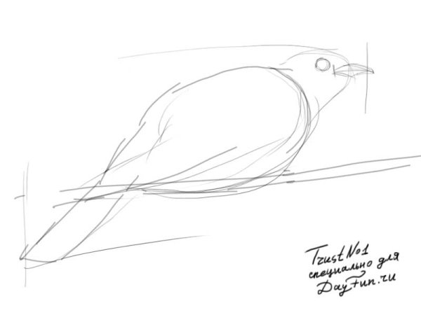 Жаворонок раскраска