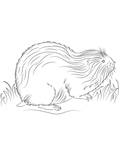 Раскраска лемминги в тундре