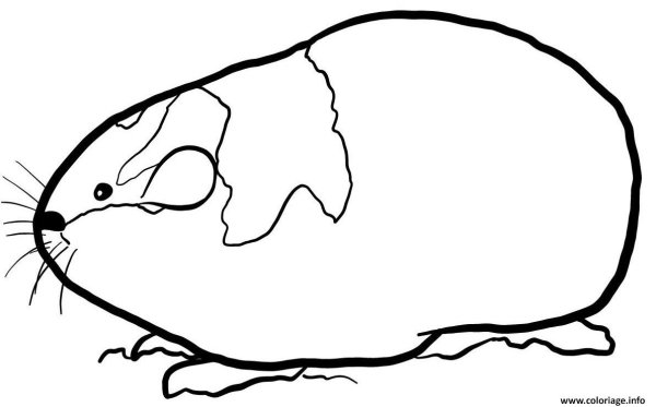 Лемминг раскраска для детей