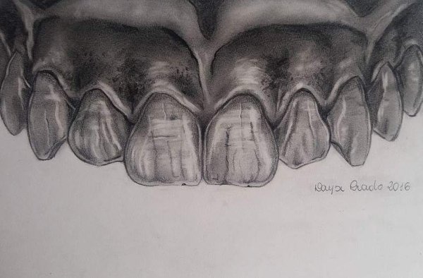 Анатомия зубов для зубных техников