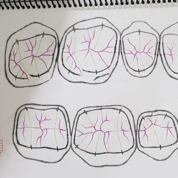 Раскраска зубная щетка и паста