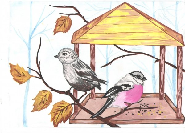 Рисование птицы на кормушке