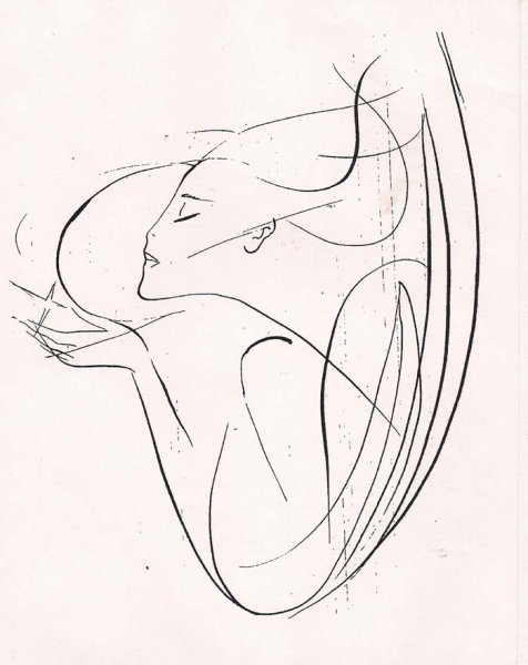 Силуэты из линий