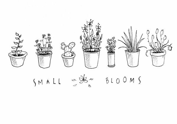 Комнатные растения раскраска