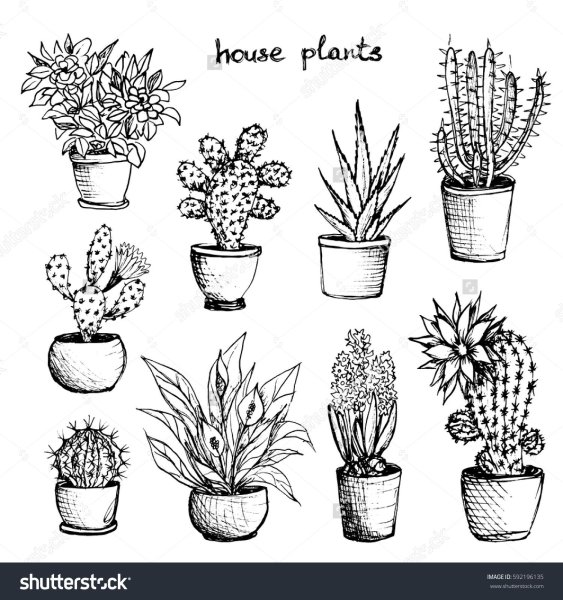 Цветок в горшке карандашом