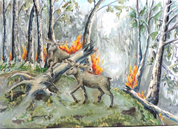 Рисунок на тему пожар в лесу