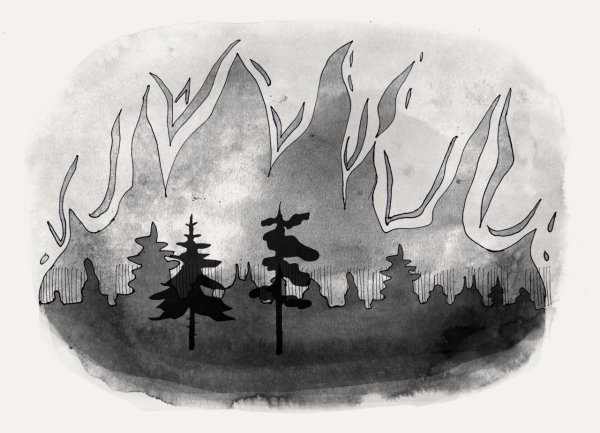Рисунок на тему Лесные пожары