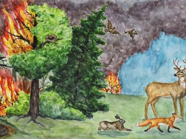 Рисование пожар в лесу