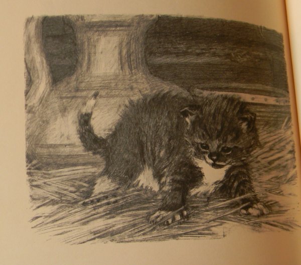 Рисунок к рассказу котенок Льва Толстого 2 класс