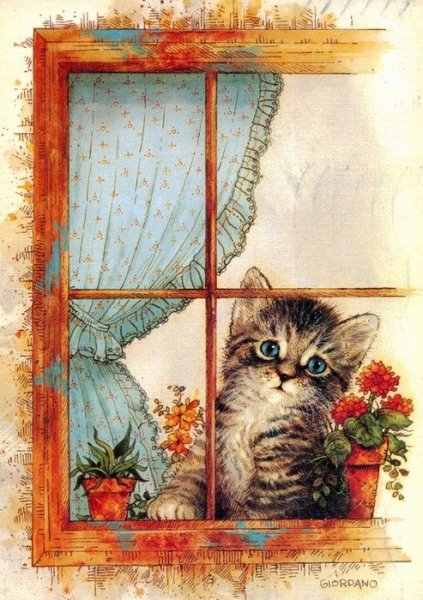 Котик на окошке