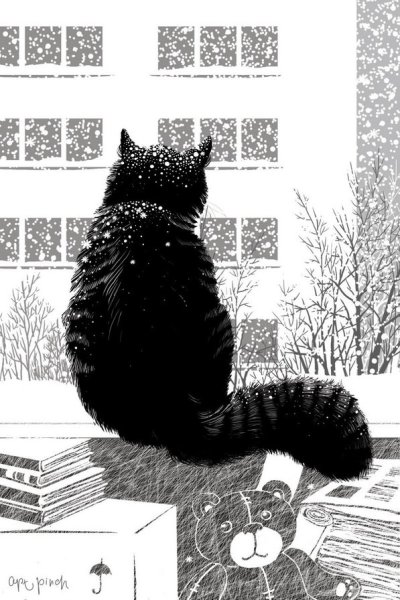 Черно-белый кот на окошке