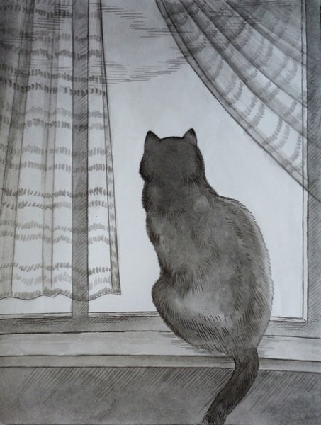 Серенькая кошечка на окне