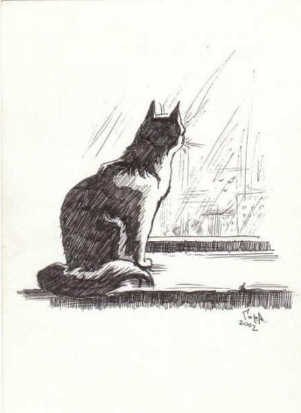 Кот на подоконнике скетч