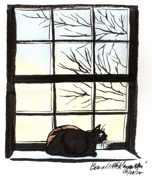 Кошка на окне рисунок