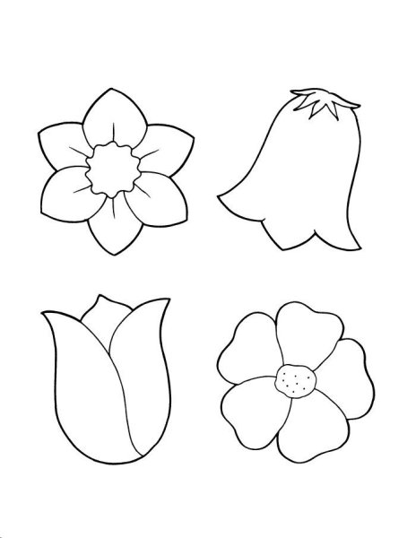 Ромашка раскраска