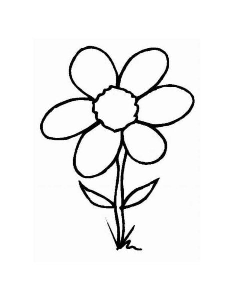 Рисунок ромашки для срисовки